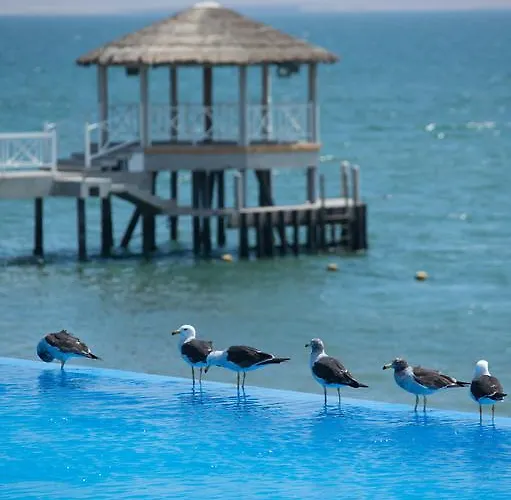 Apartamento Frente A Islas Ballestas