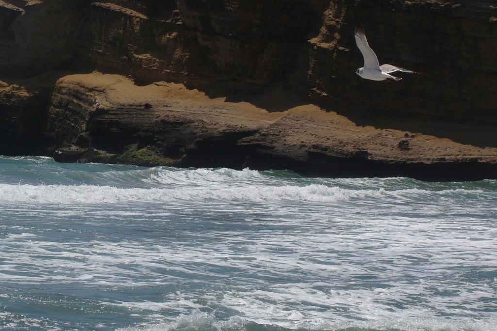 Apartment Frente A Islas Ballestas