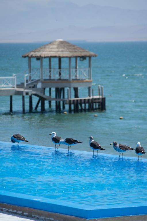 Apartment Frente A Islas Ballestas Paracas